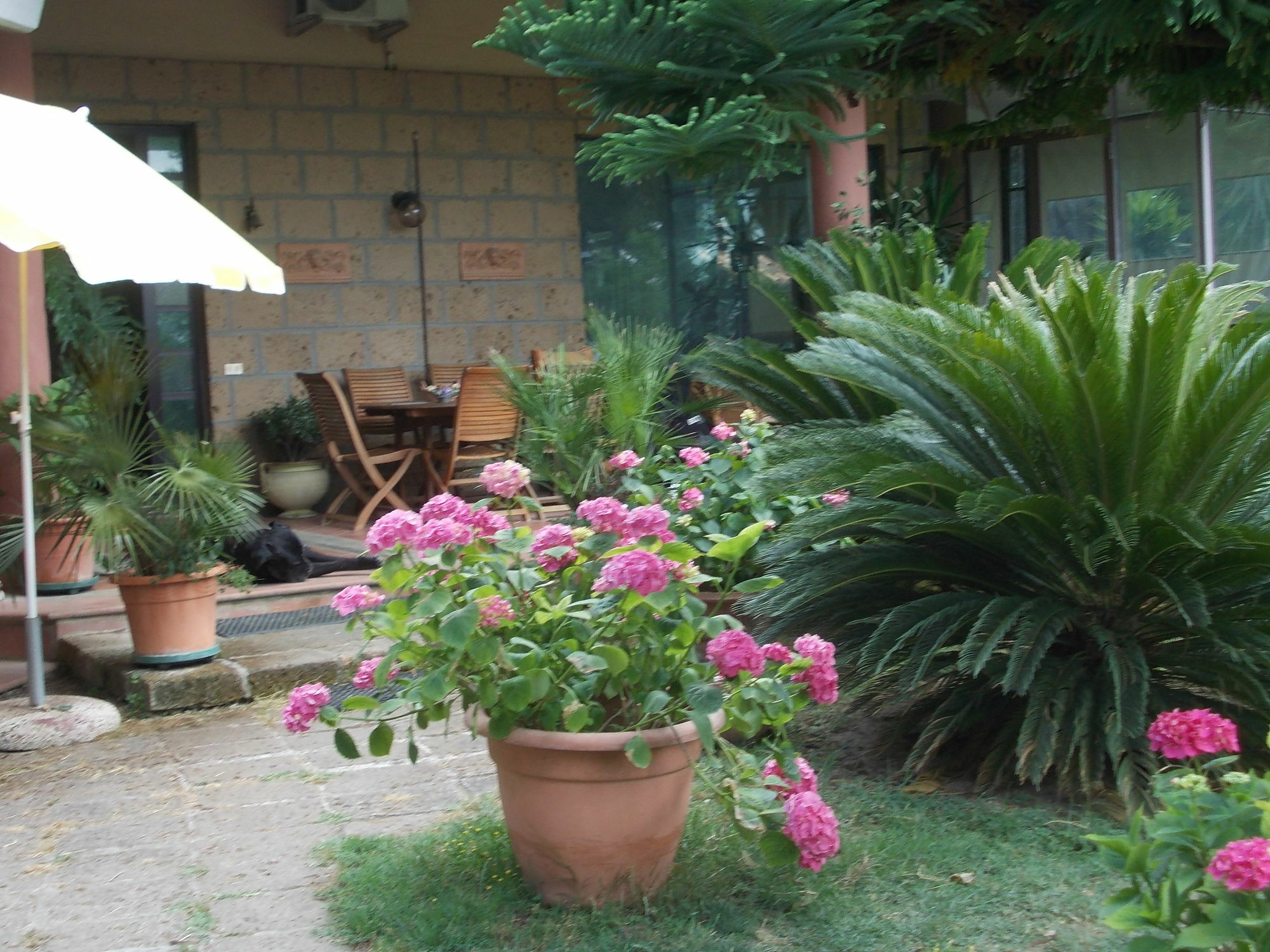 Bellavista Country House Pescara Esterno foto